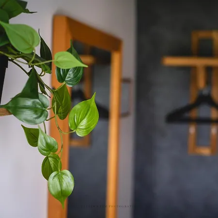 Pinska Guesthouse * Pinska