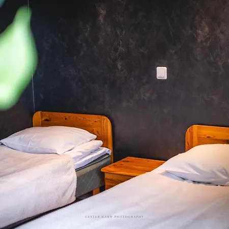 Guest house Pinska Guesthouse *