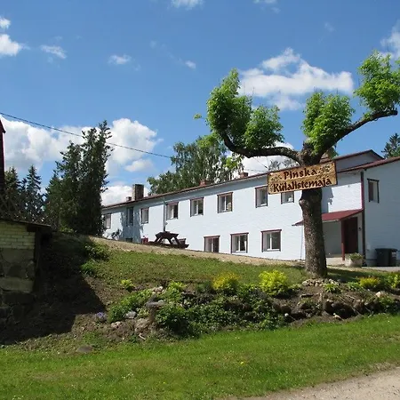 Guest house Pinska Guesthouse *
