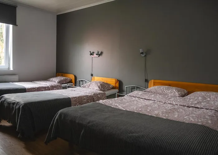 Guest house Pinska Guesthouse *