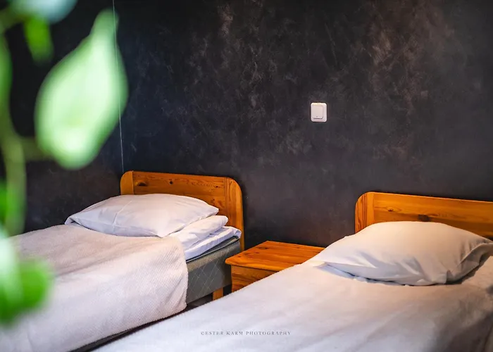 Guest house Pinska Guesthouse *